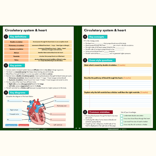 Edexcel iGCSE Biology 4BI1 topic overview
